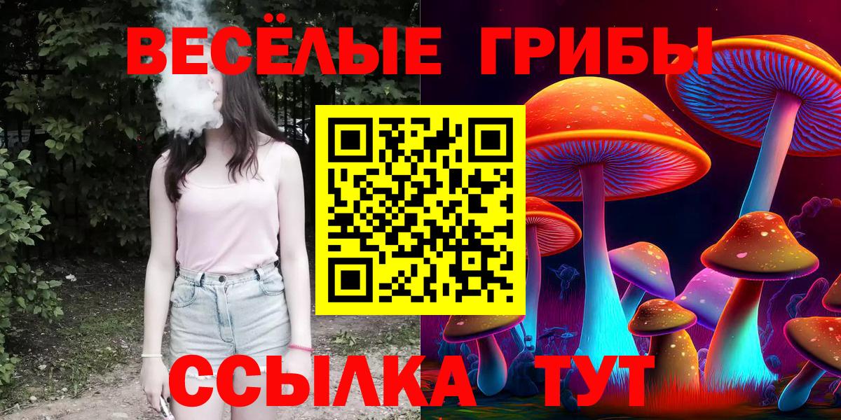 Псилоцибиновые грибы мухоморы Кохма