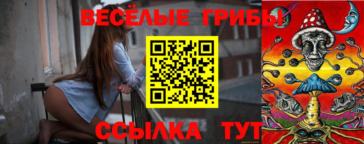 Кохма  Галлюциногенные грибы Cubensis  Вход с VPN 